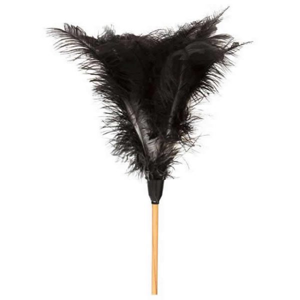 FEATHER DUSTER